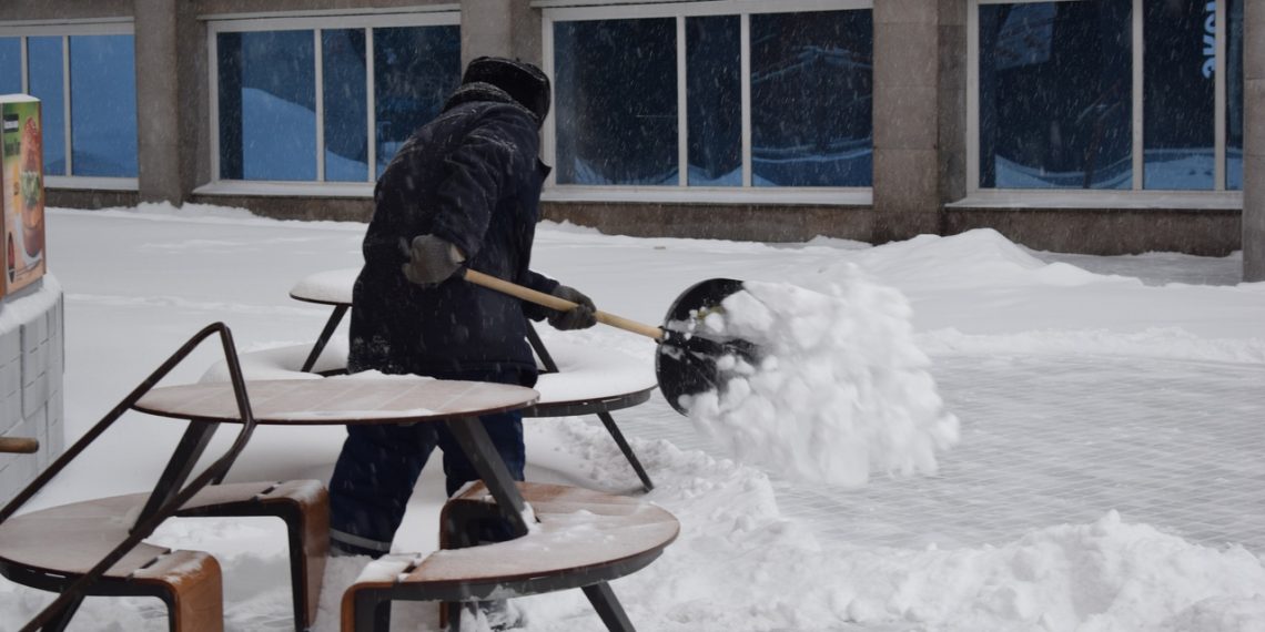 Школы, больницы, цирк и Центральный парк накажут за неубранный снег после проверки прокуратуры