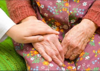 Главой Социального фонда Новосибирской области стал бывший мэр Бердска