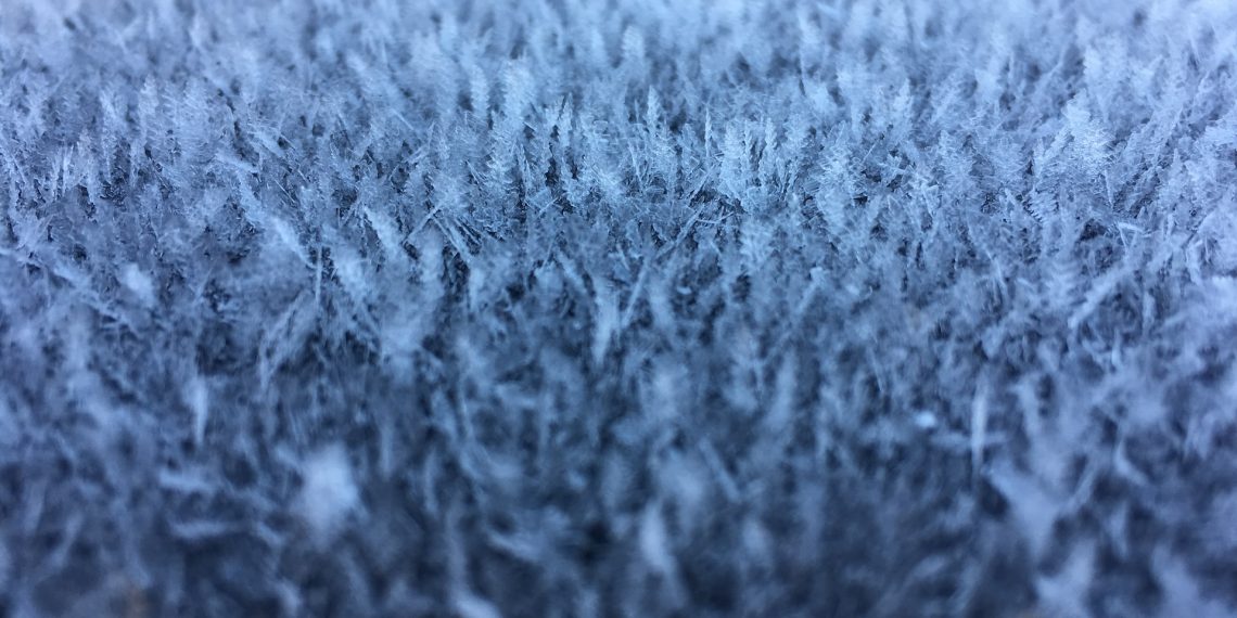 Грабители оставили новосибирца мерзнуть на снегу без валенок