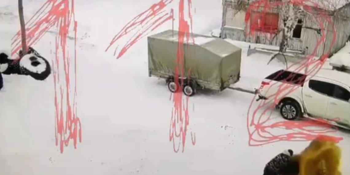 Верблюд убил охранника турбазы в Сибири