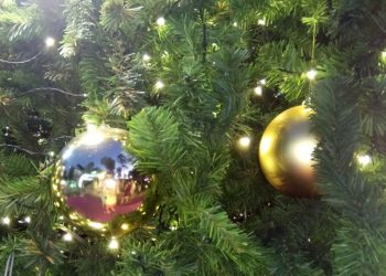 Новогодняя елка стоит до весны у каждого десятого новосибирца