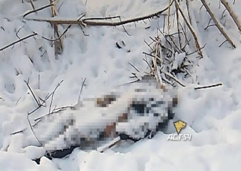 Труп замёрзшего мужчины обнаружили близ Бугринского моста