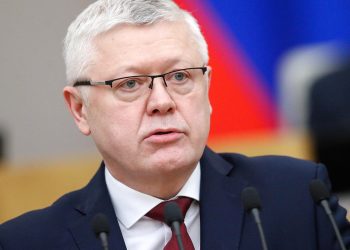 Депутат Госдумы заподозрил участие недружественных стран в появлении ЧВК «Редан»