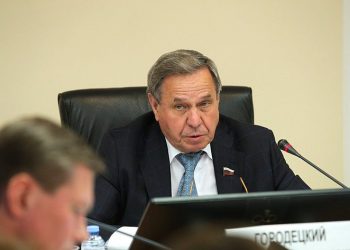 Сенатор Городецкий выступил за отмену выборов мэров «на данном конкретном историческом» этапе