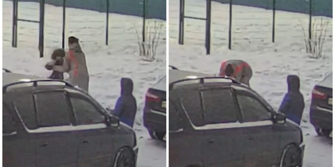 «Тыкала лицом в землю»: женщина напала на 7-летнего мальчика возле детской площадки в Новосибирске