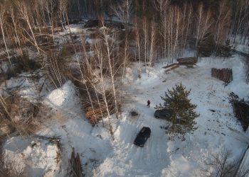 Мэр Новосибирска прокомментировал продолжение вырубки в Нижней Ельцовке