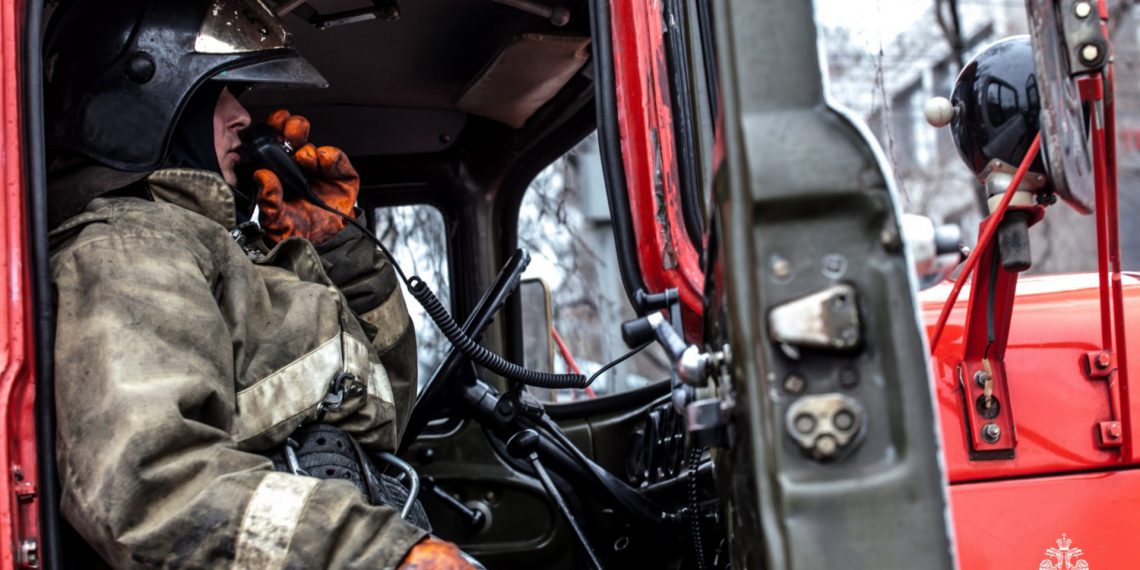 «Больше 40 животных погибло»: приют для собак и кошек сгорел под Новосибирском