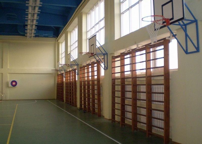 Жительница Новосибирска заявила, что ее сын сломал позвоночник на уроке физкультуры