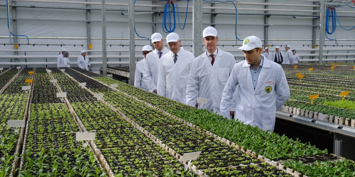 Объём господдержки аграриев Новосибирской области увеличится в полтора раза