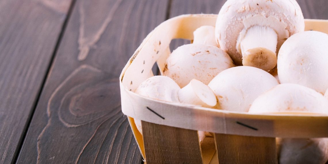 Новосибирского производителя грибов продают за 100 млн рублей