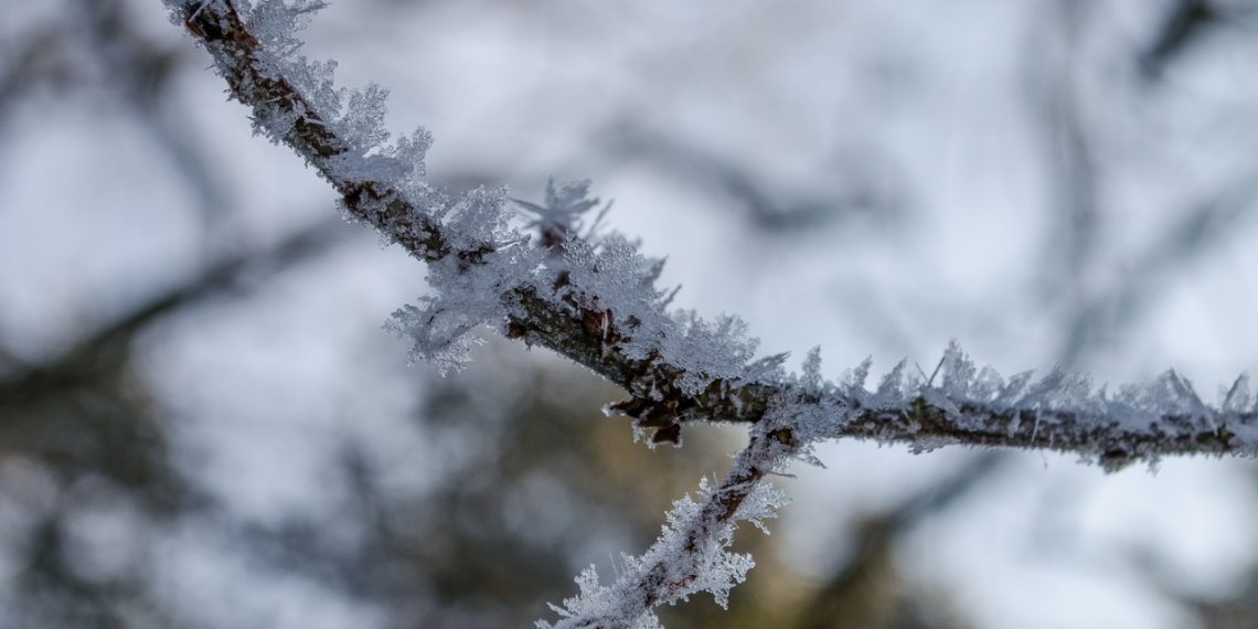 Новосибирцев предупредили о похолодании до -20 градусов 19 марта