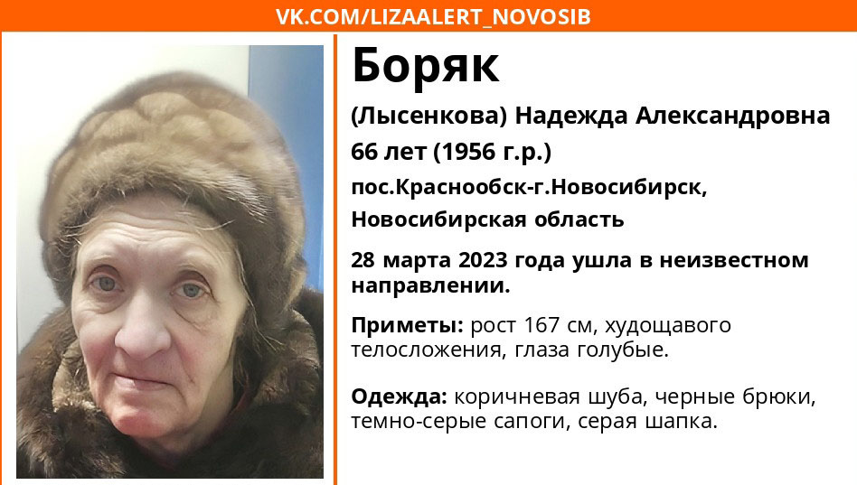 Жительница Новосибирска закупилась в магазине и без вести пропала