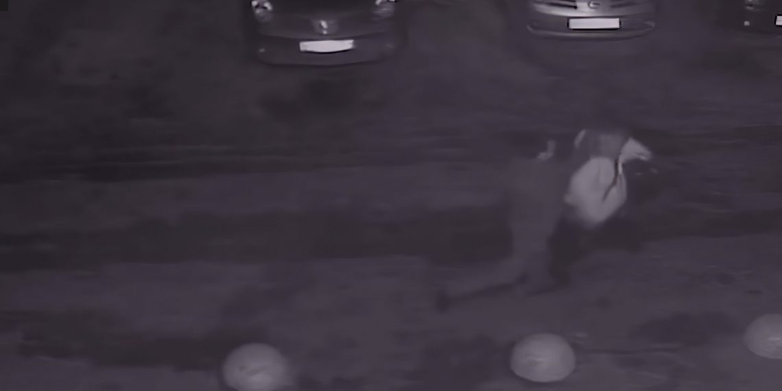 Новосибирец «по-соседски» избил сибирячку