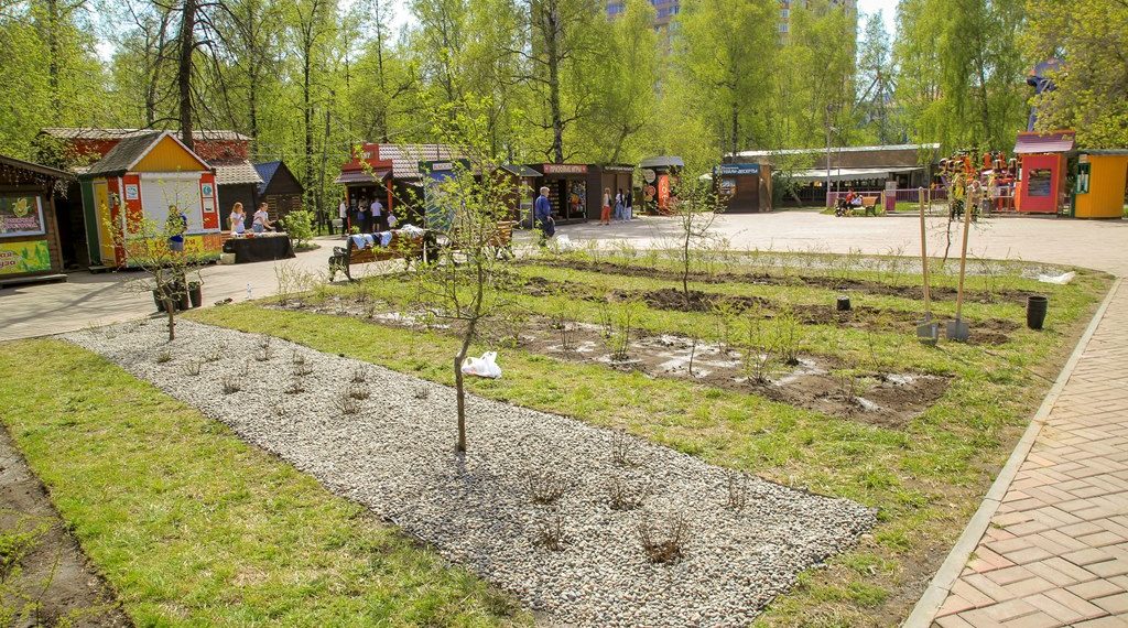 Летняя жара приходит в Новосибирск на два дня