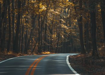 Власти отдадут 246 млн на ремонт дорог в Новосибирской области