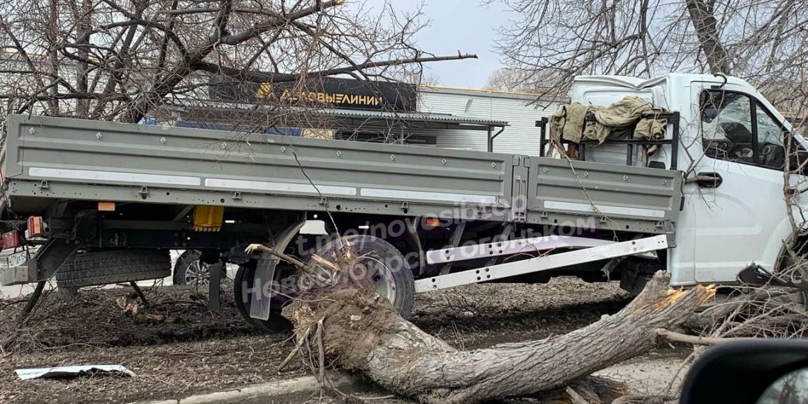 Грузовик протаранил легковушку и снёс деревья на Богдана Хмельницкого