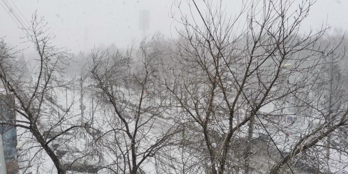 «Зима не хочет уходить»: новосибирцы делятся фотографиями заснеженного города