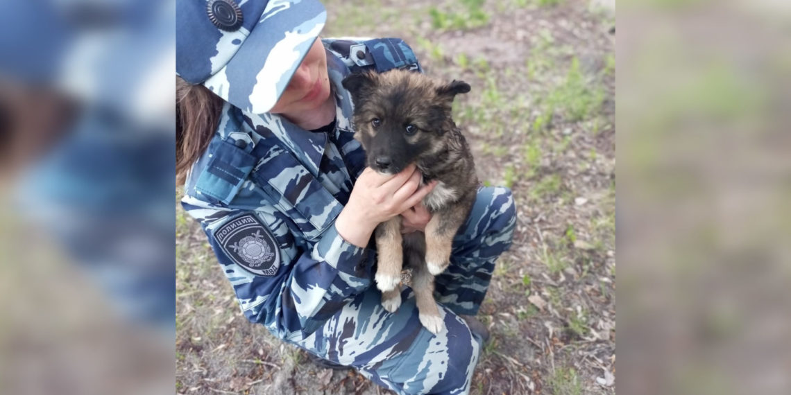 «Назвали в честь пса Мухтара»: бездомного щенка приютили новосибирские полицейские