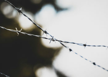 Зеку прибавили срок за вербовку в экстремисты АУЕ прямо в новосибирской колонии