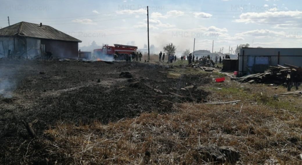 Два дома и поле камыша сгорели в Купинском районе Новосибирской области