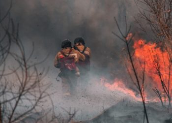 В Омской области ввели режим ЧС из-за лесных пожаров