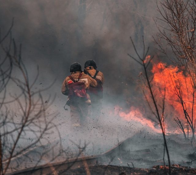 В Омской области ввели режим ЧС из-за лесных пожаров