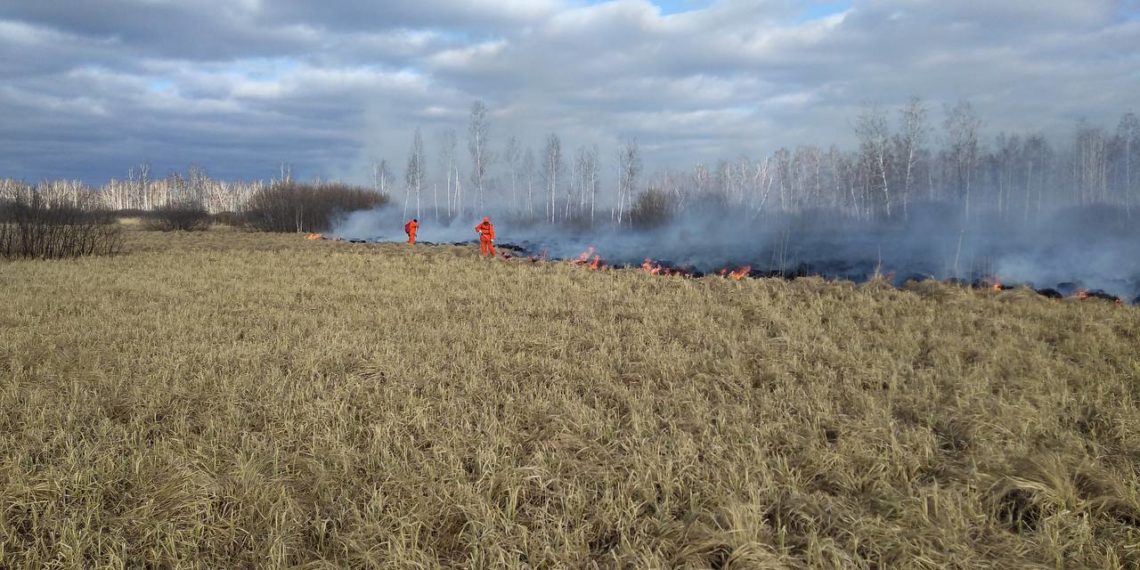 Особый противопожарный режим продлили до 22 мая в Новосибирской области