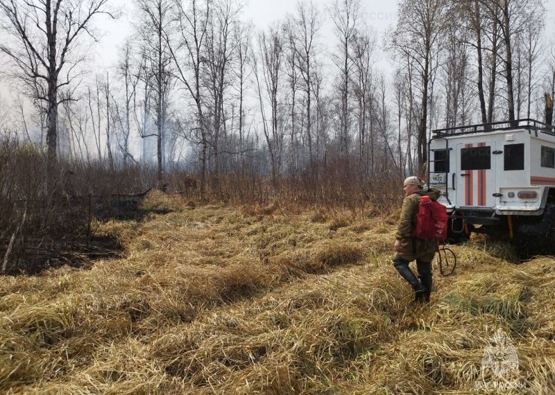 Целую деревню эвакуировали из-за ландшафтного пожара в Венгеровском районе