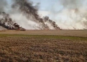 Особый противопожарный режим в Новосибирской области нарушают по 40 раз за день