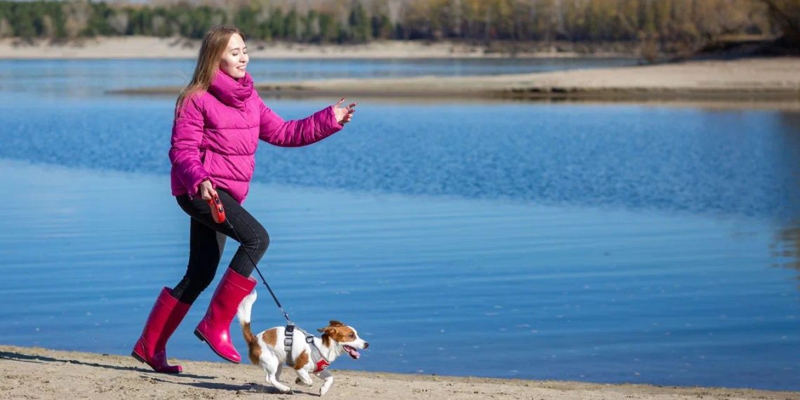 Квартиры от 2,6 миллиона: чем еще интересен квартал «Сосновый бор»