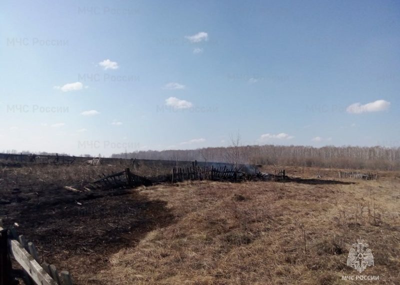 Сибирячка едва не устроила лесной пожар в селе под Новосибирском