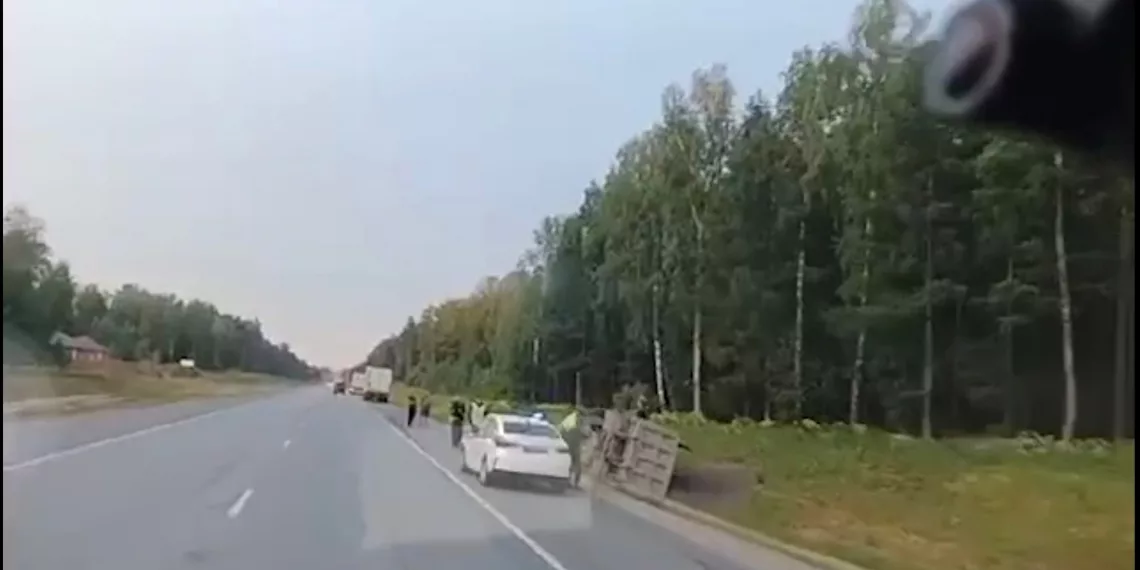 Под Новосибирском фура наехала на лося и вылетела в кювет