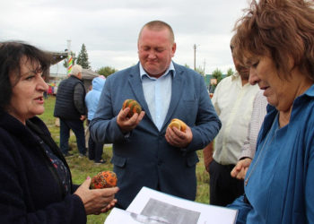 Глава Толмачевского сельсовета досрочно ушел с должности по личным причинам