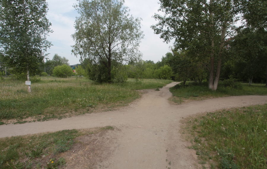 Благоустройство сквера на Демакова в Академгородке может начаться уже в следующем году