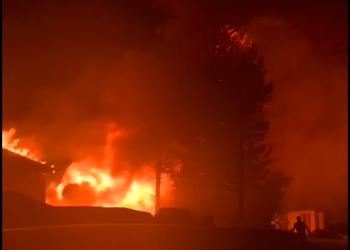 В Новосибирской области в поселке Садовый сгорело несколько домов