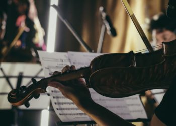 Восемь оркестров и табун лошадей за 18 млн привезут ко Дню города в Новосибирск