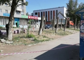 В Новосибирске местные жители протестуют против вырубки деревьев на Бориса Богаткова