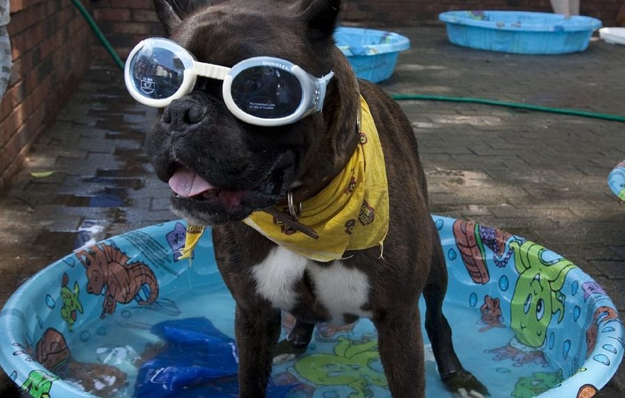 Синоптики прогнозируют «тропическую» неделю для жителей Новосибирска