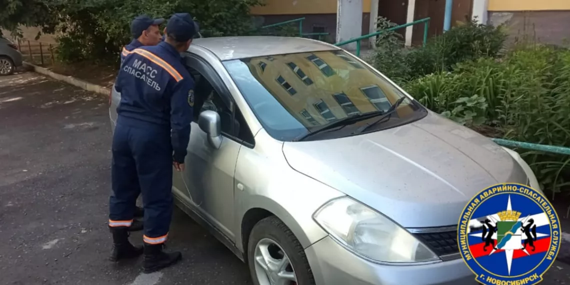 Новосибирские спасатели вытащили полуторогодовалого малыша из заблокированной машины