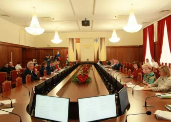 Депутаты заксобрания заподозрили в ангажированности организаторов референдума за возвращение выборов мэров