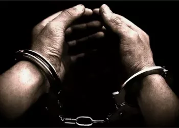 Замминистра образования и науки Бурятии арестовали за езду «под кайфом»