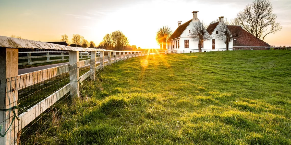 В Госдуме предложили бесплатно давать землю семьям после 10 лет брака