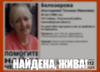 В Новосибирской области нашли ушедшую за грибами сибирячку