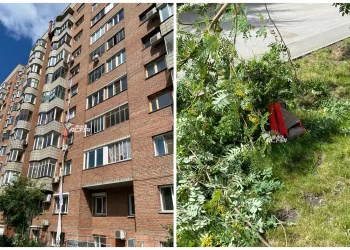 Женщина-кошка спускалась по простыням с 6 этажа дома на Красном проспекте