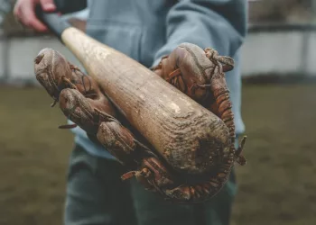Пьяный дебошир из Новосибирска убил подругу 27 ударами бейсбольной биты по голове