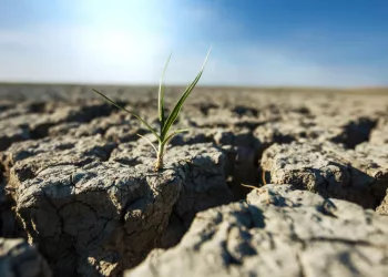 В Новосибирской области с 11 июля вводится режим ЧС