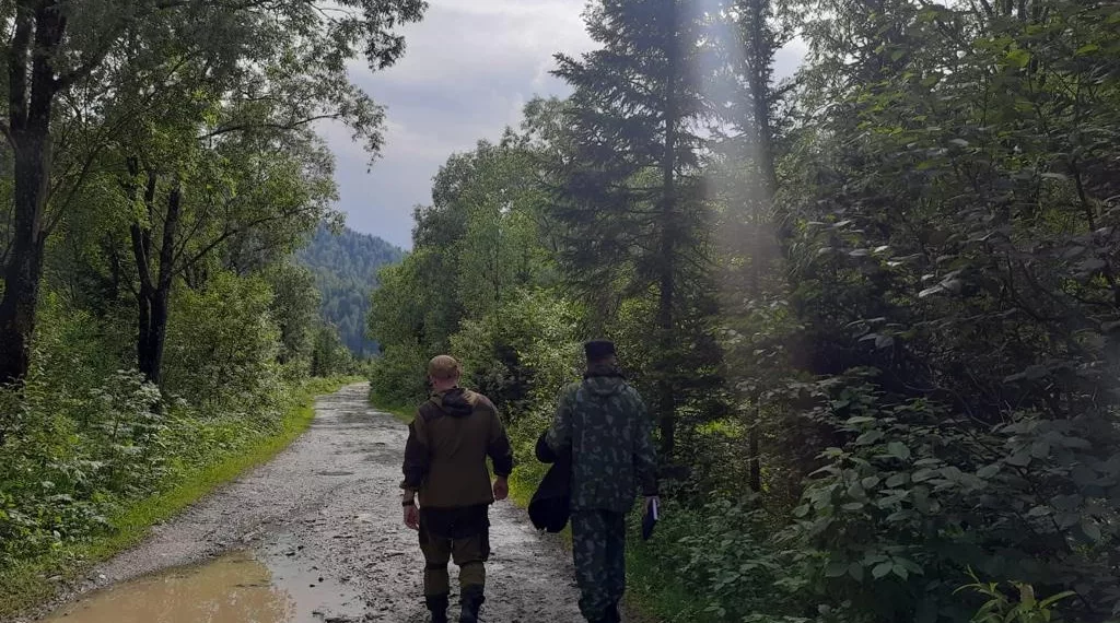 Пропавших в кузбасской тайге подростков не могут найти уже неделю