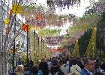 Запрет на проезд по улице Ленина продлили до конца июля