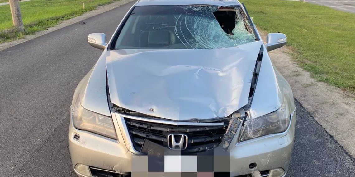 В Бердске водитель насмерть сбил 16-летнего велосипедиста