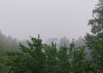 В Новосибирске первый рабочий день начался с густого тумана